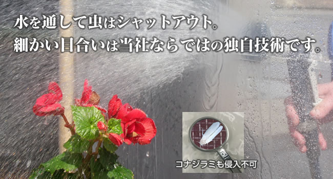 ˺٤ܹ礤ҤʤǤϤȼѤǤ